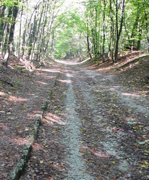Der Hellweg